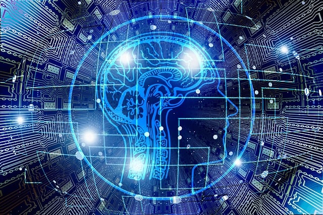 digital image of interconnected brain